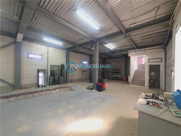 Royal Imobiliare - Inchiriere Spatiu Industrial zona Vest - 4