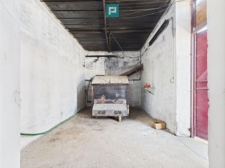 Hale 1800 mp fiecare – acces autostradă, Teiu, HD - 10