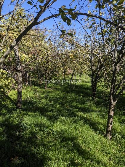 Proprietar,casa renovata ,teren 2000 mp deschidere 113 m,Farcasele Olt - 13