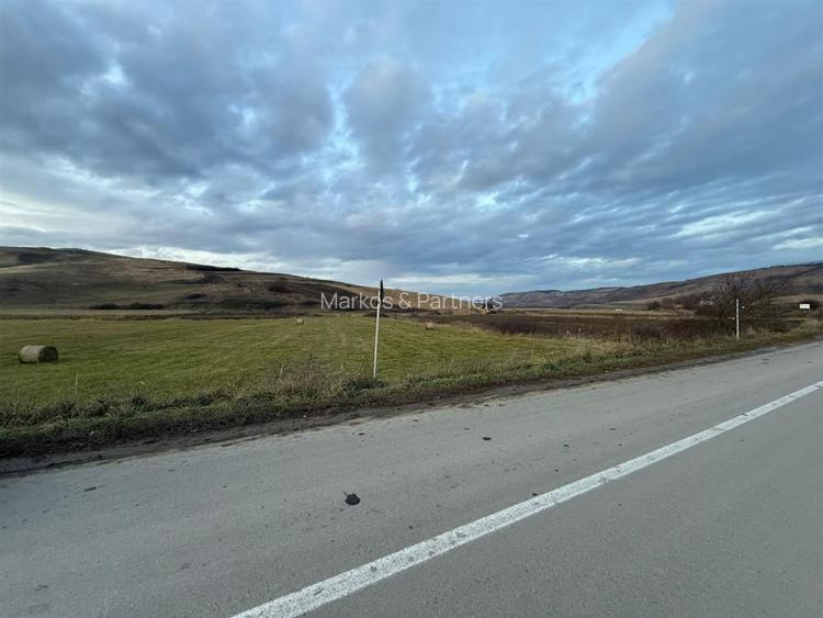 Teren Extravilan I 6000 Mp I Acces la drum | Cojocna - 4