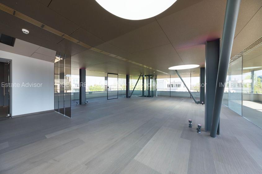 Vila Capo | Luxury offices 1800 mp | Dorobanti Capitale - 12