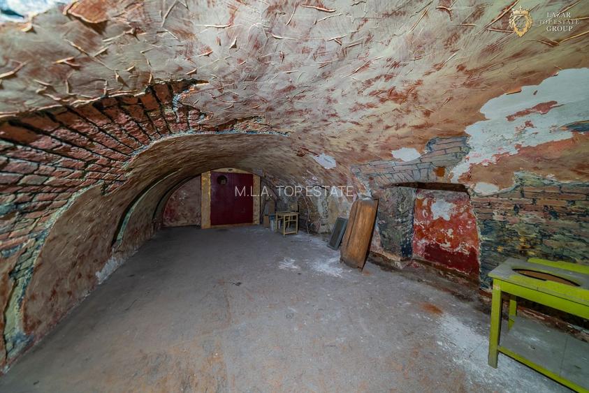 Proprietate speciala cu potential in inima Aradului - 31