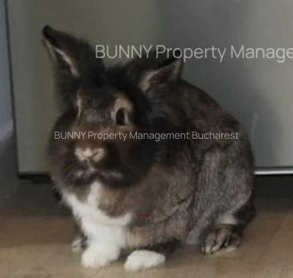 Novum Politehnica Iuliu Maniu: 3 apartemente! DIRECT PROPRIETAR FARA COMISION! - 16