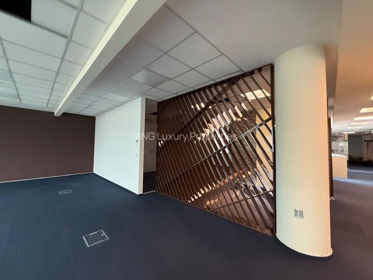 Spațiu de Birouri Premium pe Calea Floreasca – Versatil și Gata de Mutare - 3