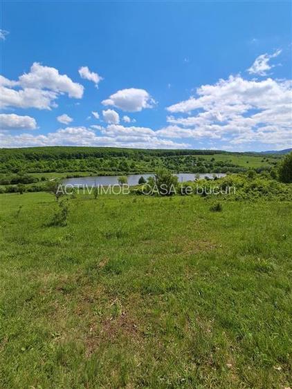 teren 550 mp de vanzare in Tocile - 5