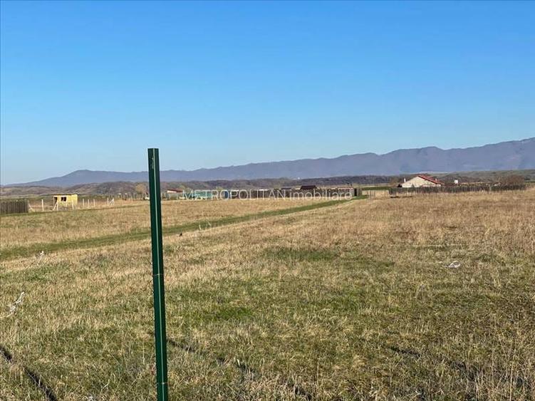 Vanzare terem pentru case Halchiu - 2