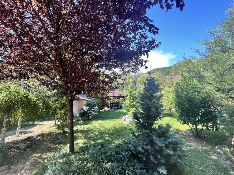 Conacul Mura in Baile Olanesti, O Bijuterie Naturala - 4