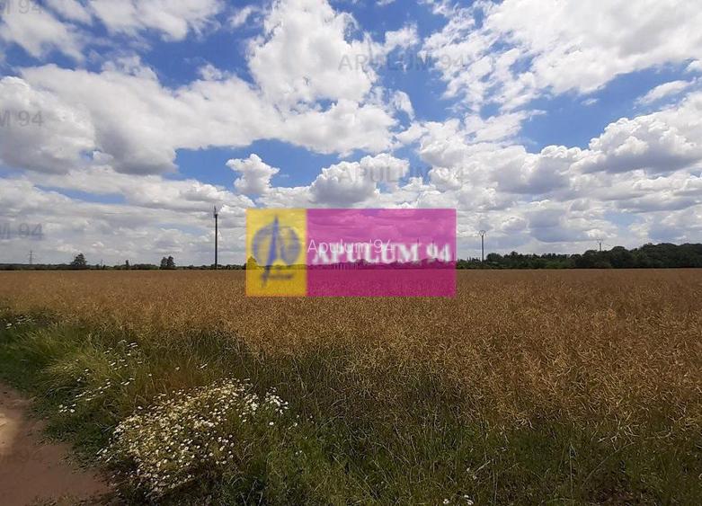 Teren 715mp în Snagov lângă Equestria - 36