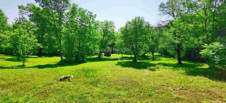 Teren intravilan Talea situat in mijlocul naturii ! - 7