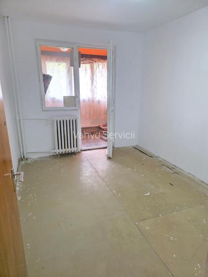 Lacul Tei  Teiul Doamnei  Colentina - 18