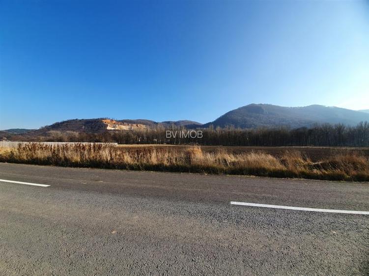 Vanzare Teren intravilan Str. Cucului, zona Bartolomeu 18600 mp - 7