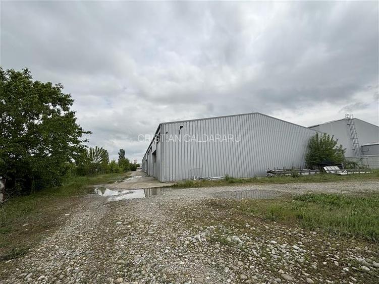 Vanzare depozit/hala/spatiu industrial/showroom/birouri Otopeni - Balotesti - DN - 2