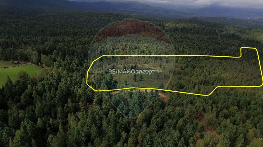 Teren extravilan parcelabil Călățele Pădure, zona Dealu Negru - 4