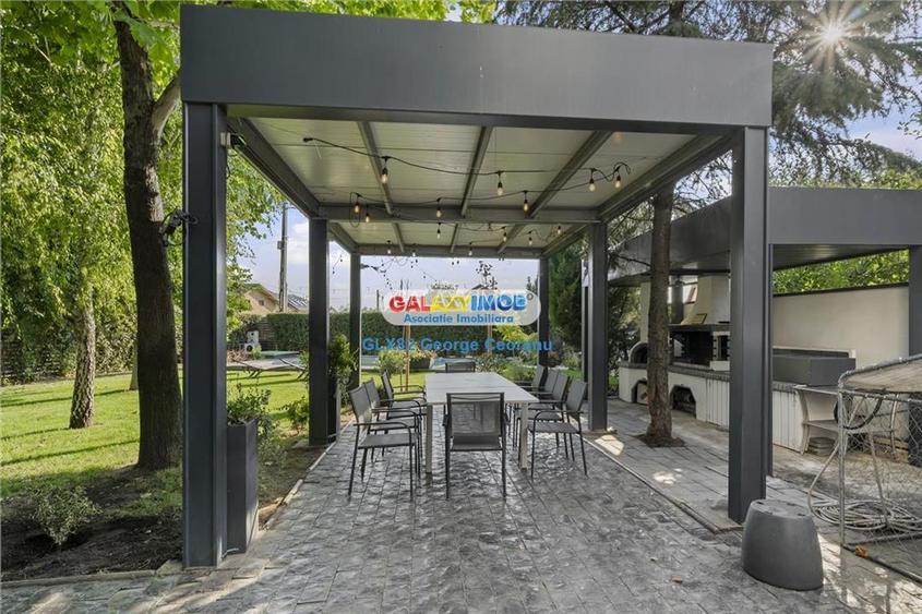 Vanzare vila individuala, curte mare, piscina, Berceni Macului - 21
