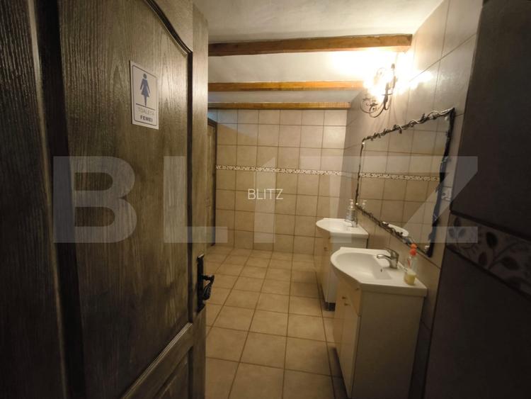 Proprietate multifunctionala, 1.850 mp utili, 23.750 mp teren, zona Brestei - 17