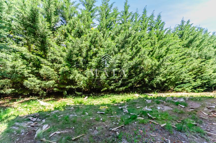 Apartament 2 camere la cheie, curte 50mp, parcare, zona de Vest - 4