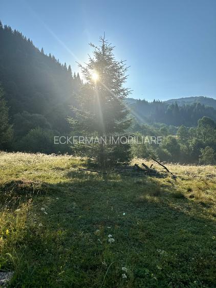 Rucar-Satic, teren intravilan de vanzare, lotur intre 500-5000 mp, peisaj superb - 6