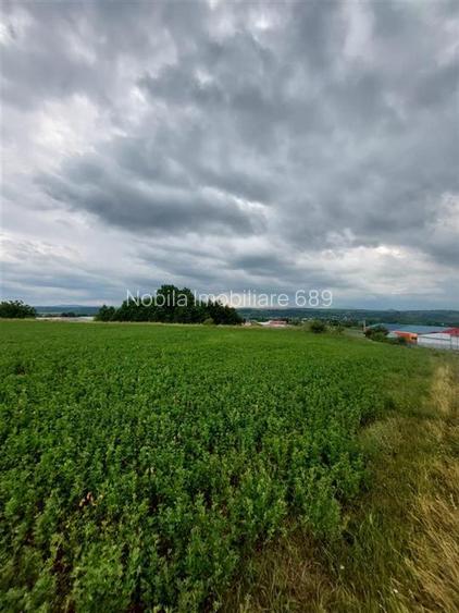 Teren intravilan de vanzare in Tg Trotus - 4