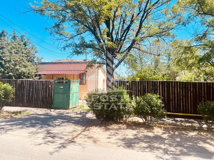 Spatiu birouri - zona Alfa, Penny - 25