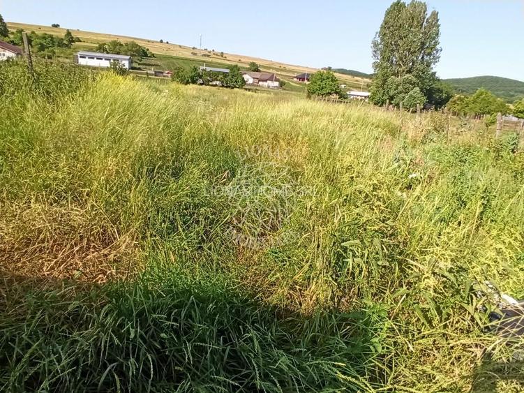 Casa 120 mp-teren 3400 mp-anexe-Sieut, la 30 km de Bistrita - 7