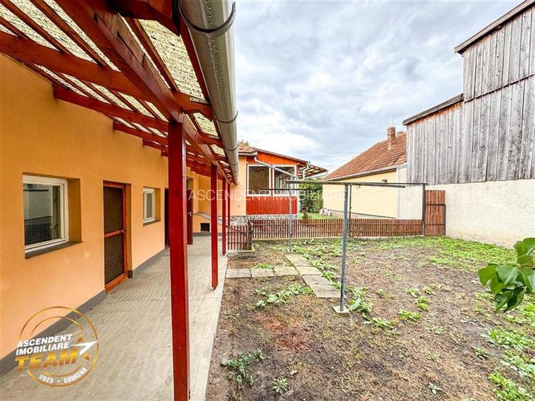 FILM&3D! Casa ospitaliera,curte si gradina asortata,arie linistita,Simeria,Sfant - 23