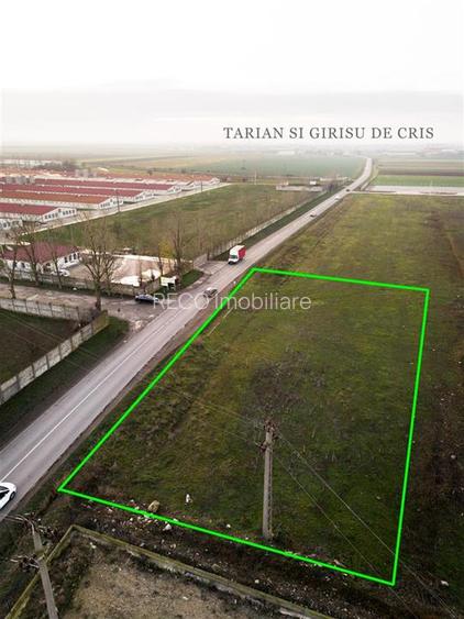 RECO Teren intravilan pentru servicii 1500 mp zona industriala Santandrei - 7