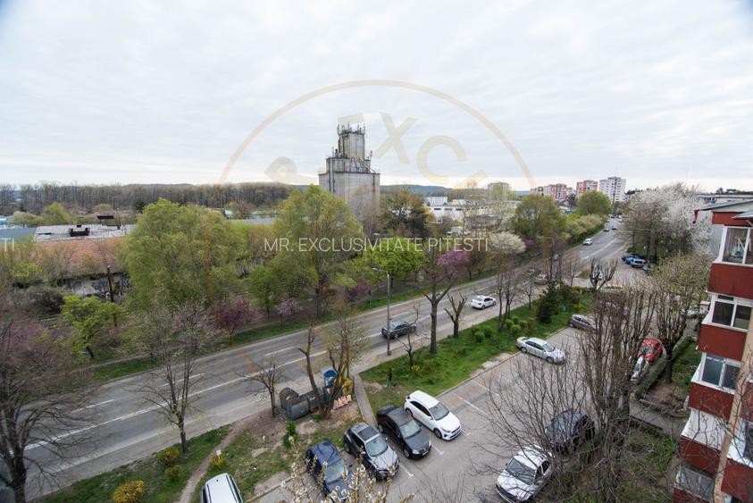 Apartament 2 camere-Eremia-Pitesti-gata de mutat - 11