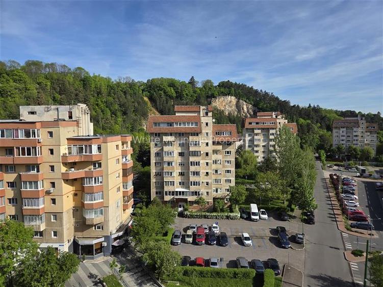 Apartament spatios cu 2 camere Parcul Trandafirilor Racadau - 17