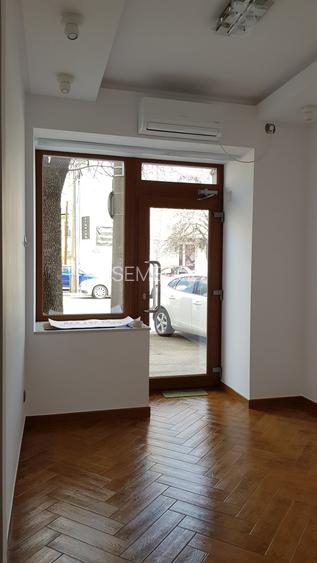 Dinicu Golescu - Stirbei Voda - 2