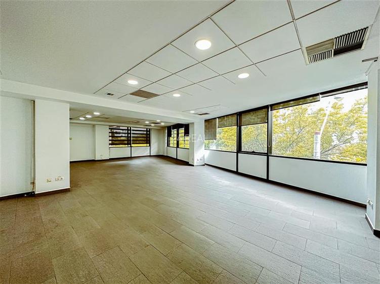 Piata Victoriei | Titulescu | de la 150 mp - 2