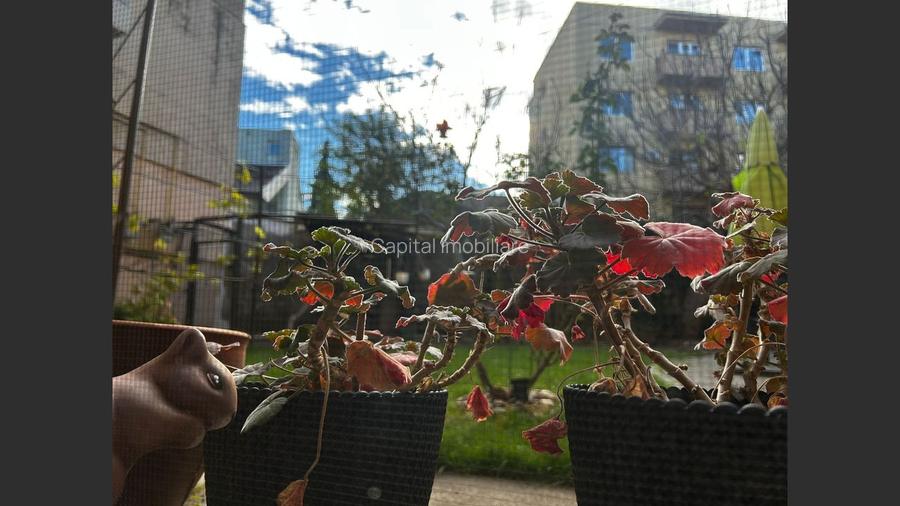 Casa in inima Aradului, ultracentral pe Malul Muresului - 16