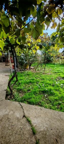 Teren vânzare zona Viile Noi - 3