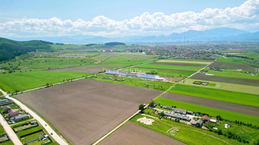 Teren Intravilan - 16