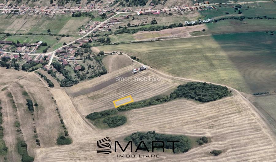 Teren extravilan 650mp Rusciori - 2