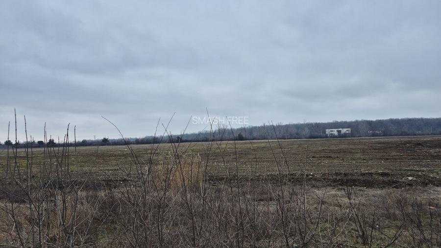 Teren intravilan 49309 mp - sos. De Centura pentru Parcuri Logistice si Hale - 5