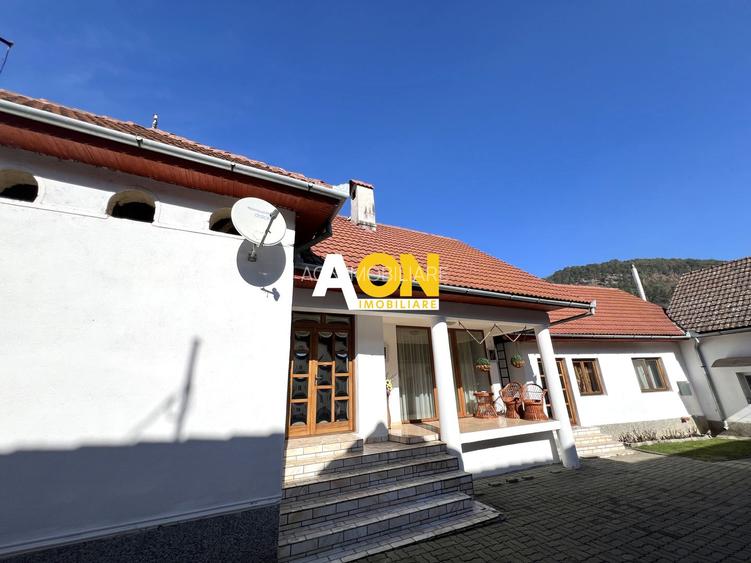 Casa de vanzare pretabila 2 familii, garaj, livada, comuna Pianu - 12