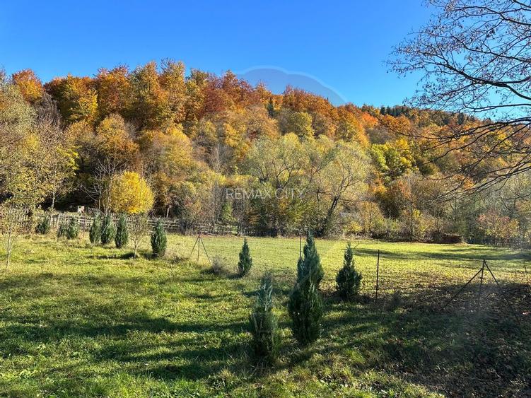 Teren de vanzare Cuiejdel 1350 mp - 2