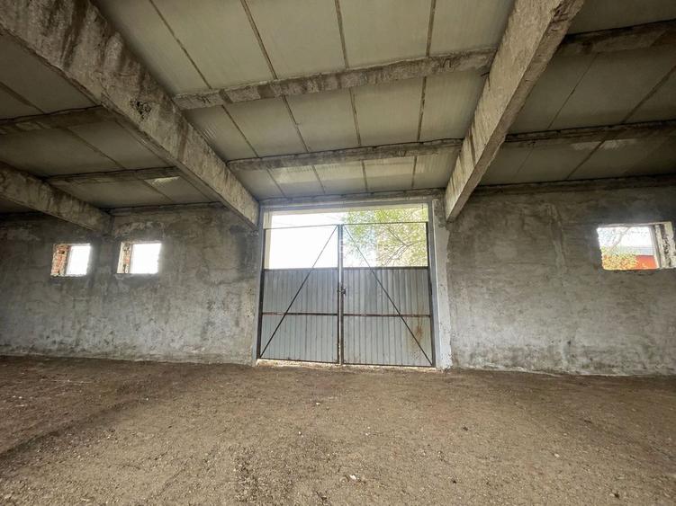 Hala Industrială / Agricolă | 800 MP Construcție + 800 MP Teren | - 3