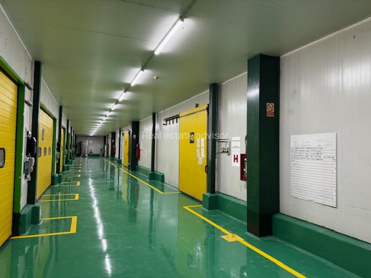 Hala frigorifica moderna cu birouri, de vanzare - 4