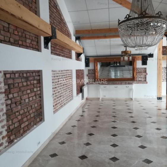 Inchiriere Vila zona Ion Mihalache - 10