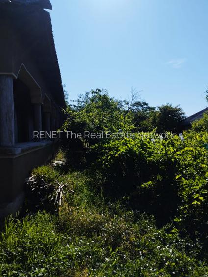 DE VANZARE CASA DEMOLABILA/RENOVABILA + TEREN 1900m SAT BUDENI - 5