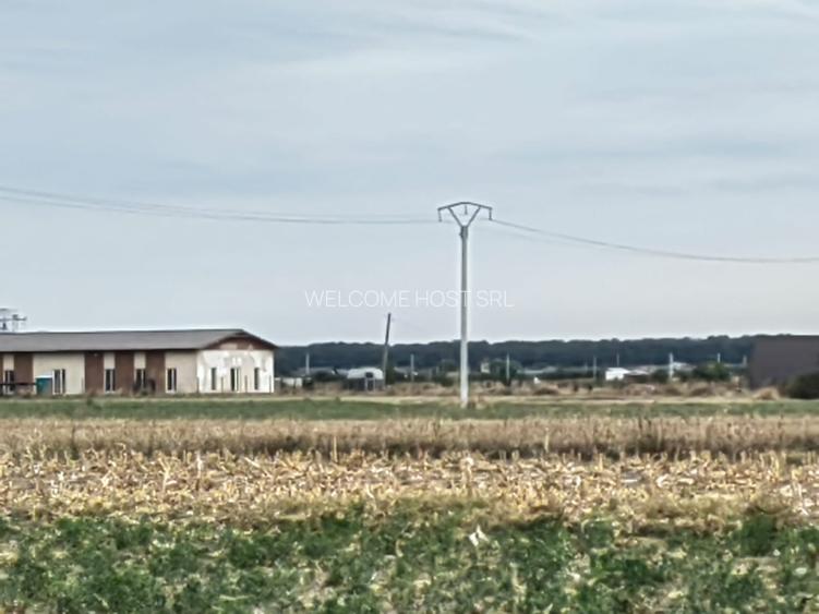 Ocazie_urgent_Casa la rosu_DN7 Tiny Residence_Echitatie/Primaria Tartasesti - 9