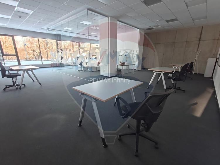 Spațiu de birouri de 210mp de închiriat în Parcul Industrial Tetarom - 5