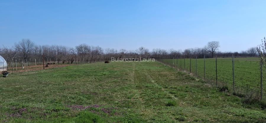 Casa de Vanzare in Baicoi  - 3