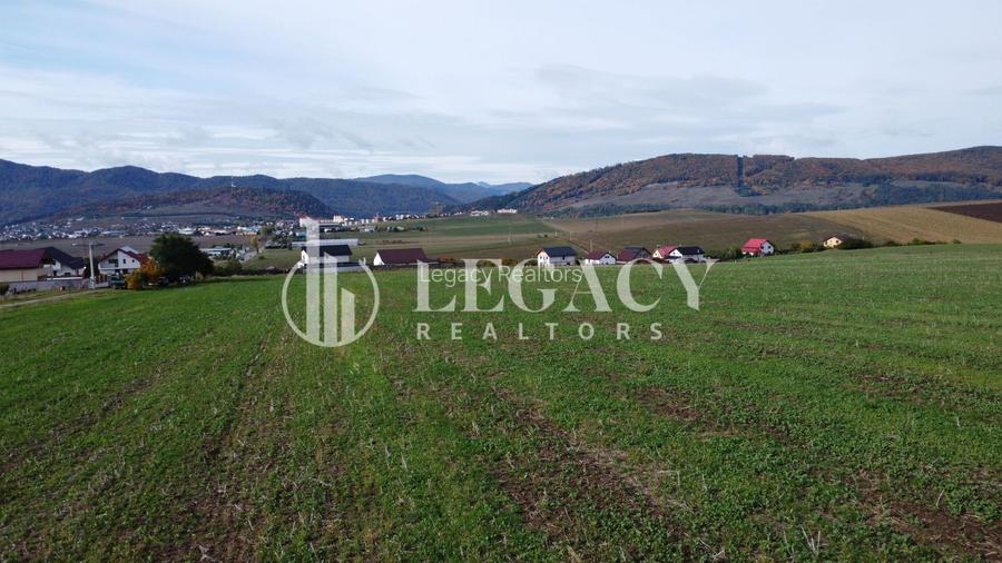 Teren intravilan 10.000 mp Gârcina lângă Sala Polivalenta Piatra Neamț - 11