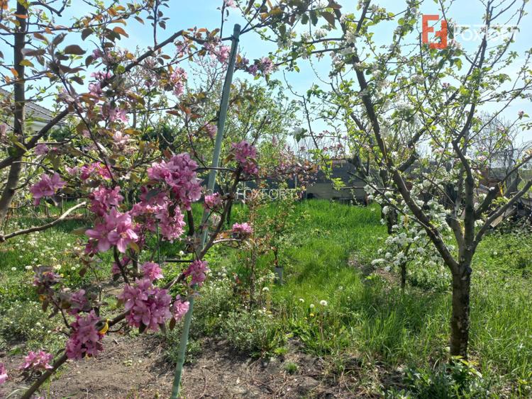 Casa individuala | 5 camere | Teren generos 805 mp | Giarmata Vii - 8