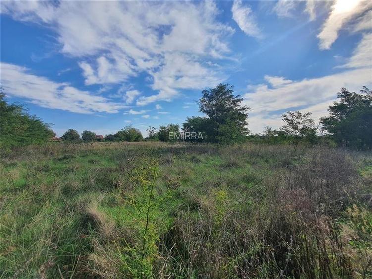 Teren de vanzare in Hemeius Margineni, judetul Bacau - 5