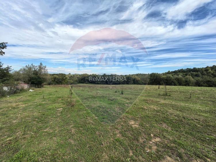 Teren 5,600mp Finteusu Mic / Strada Principala - 3