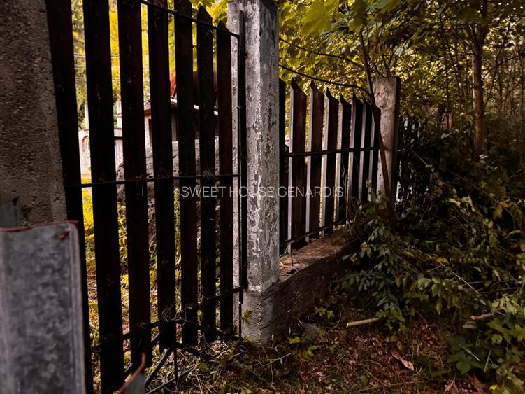 Oportunitate de investitie Cabana Cartisoara Zona Turistica - 45