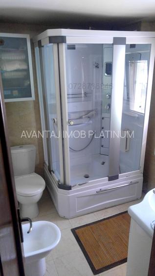 Piata Alba Iulia - Unirii, adiacent, apartament in vila - 11